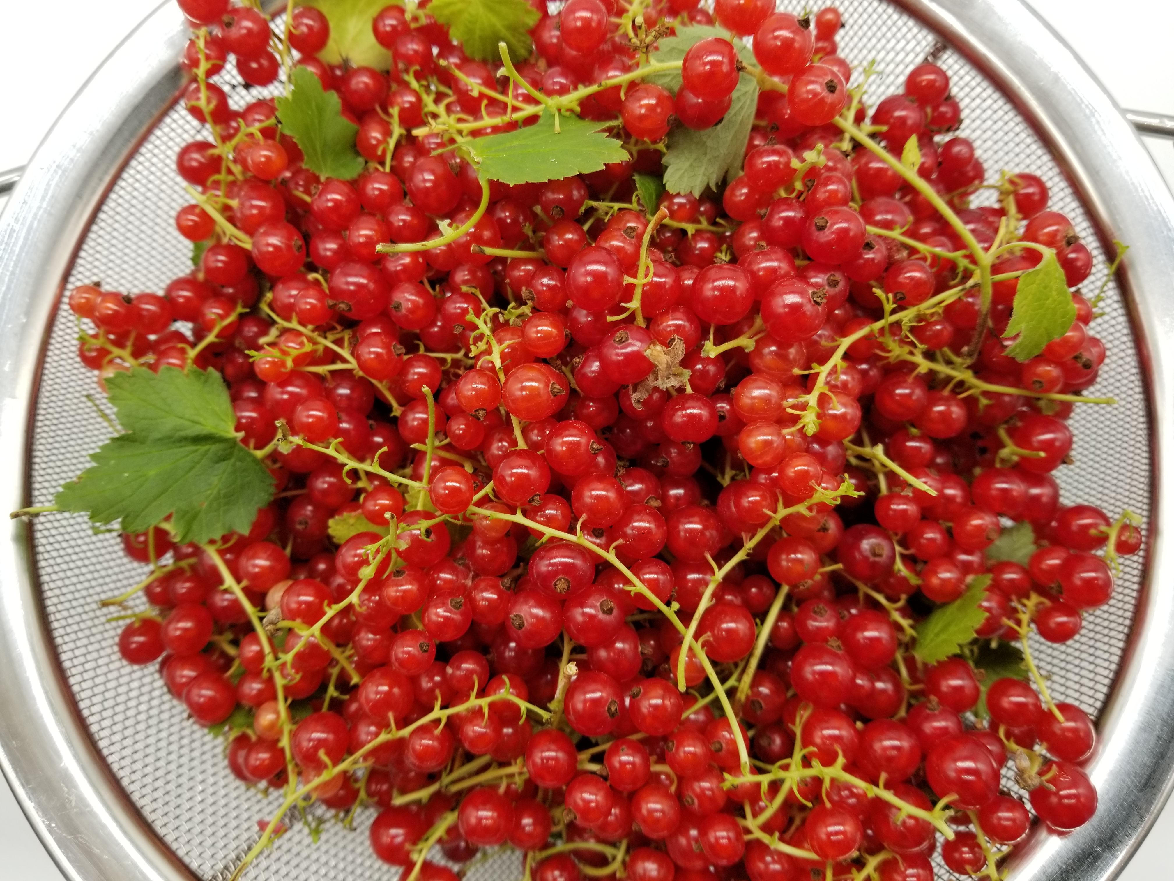 From garden to table